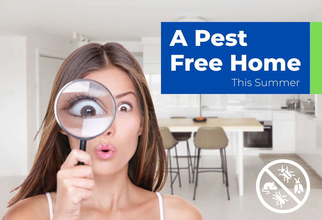 Pest Free Home