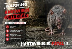 Hantavirus Image